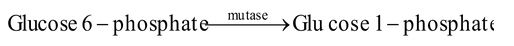 Nomenclatures of Enzymes